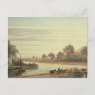 Walton on Thames Postcard
