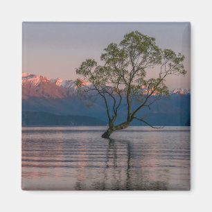 Wanaka Tree, New Zealand Magnet