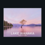 Wanaka Tree Sunrise Nature Travel Postcard<br><div class="desc">Wanaka Tree Sunrise Nature Landscape Travel Photography Postcard</div>