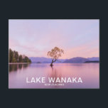 Wanaka Tree Sunrise Nature Travel Postcard<br><div class="desc">Wanaka Tree Sunrise Nature Landscape Travel Photography Postcard</div>