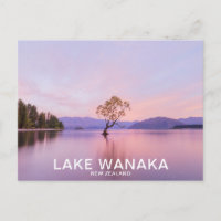 Wanaka Tree Sunrise Nature Travel