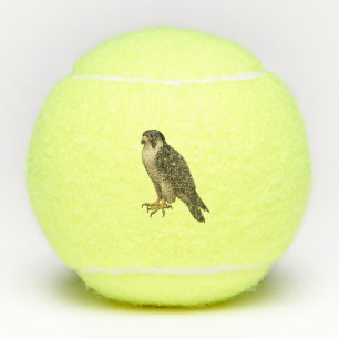 Wanderfalke Tennis Balls