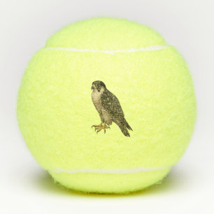 Wanderfalke Tennis Balls
