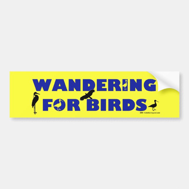 Wandering For Birds Bumper Sticker (Front)
