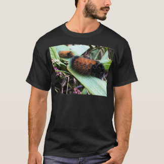 Wandering Woolly Bears T-Shirt