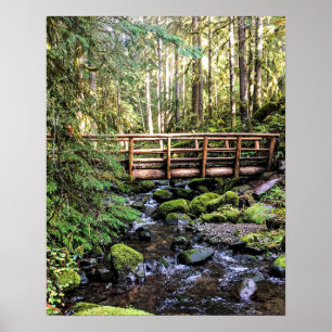 Wanderlust Beauty // Peaceful Waters Poster