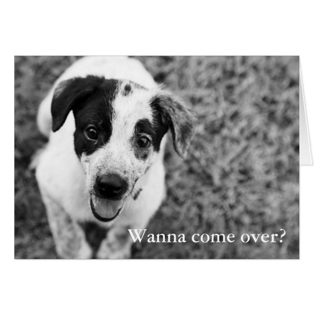 Wanna come over? (Front Horizontal)