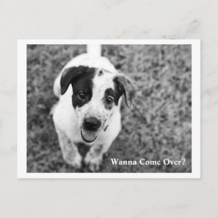 Wanna Come Over? Postcard