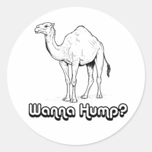Wanna Hump Classic Round Sticker
