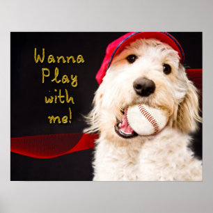WANNA PLAY WITH ME - Poster - KATI -Baseball Dog