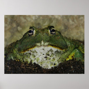 wanna smooch? poster
