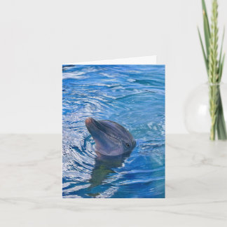 Wanna Swim? Thank You Card