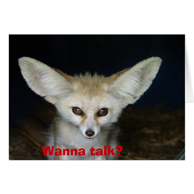 Wanna talk? (Front Horizontal)