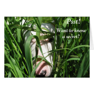 Want to know a secret