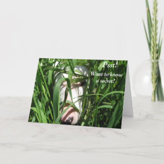 Want to know a secret Valentine's Day Holiday Card