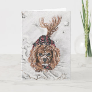 Want to Play? Holiday Card