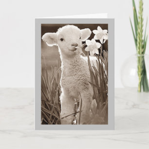 WANT TO SAY HAPPY *EASTER* TO MY ***TWIN*** HOLIDA HOLIDAY CARD