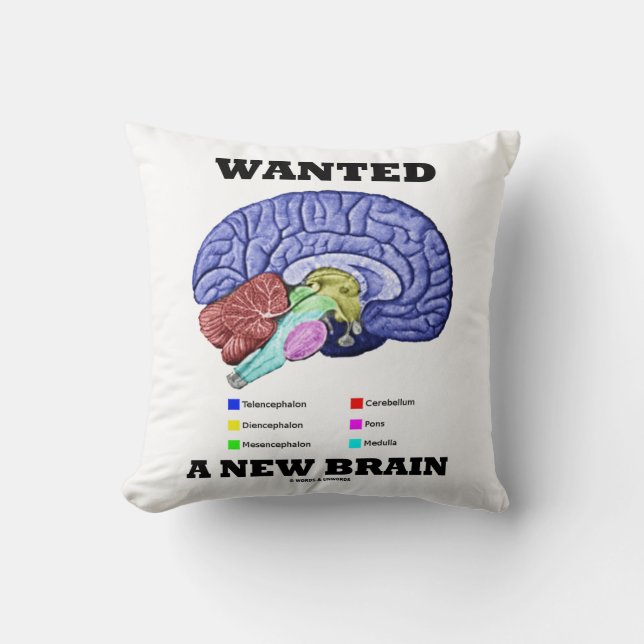 Wanted A New Brain (Anatomical Brain Attitude) Cushion (Front)