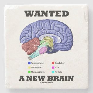 Wanted A New Brain Anatomical Brain Humour Stone Coaster