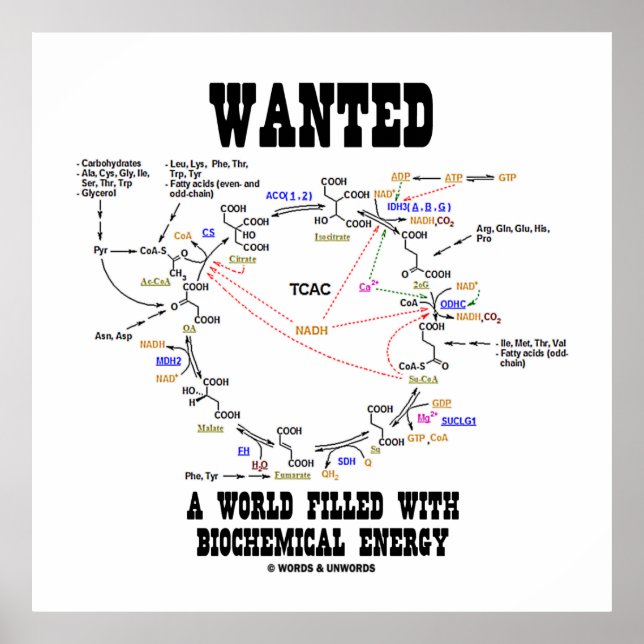 Wanted A World Filled With Biochemical Energy Poster (Front)