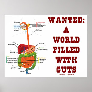 Wanted: A World Filled With Guts (Anatomical Guts) Poster