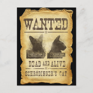 Wanted dead and alive. Schroedinger's cat. Postcard