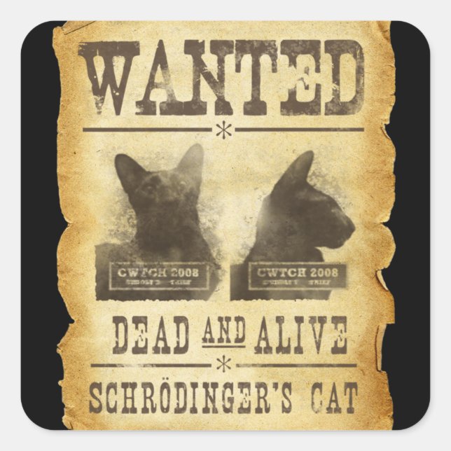 Wanted dead and alive.  Schroedinger's cat. Square Sticker (Front)
