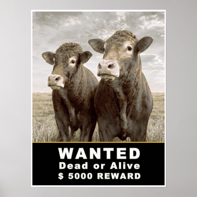 WANTED Dead or Alive $ 5000 REWARD Poster (Front)