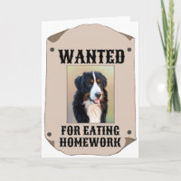 Wanted For Eating Homework Custom Dog Photo