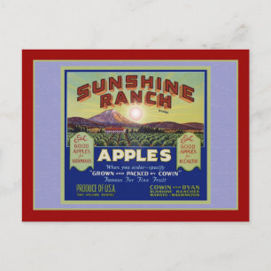 Wapato Washington Apples Postcard