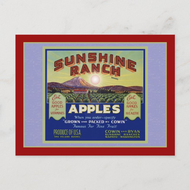 Wapato Washington Apples Postcard (Front)