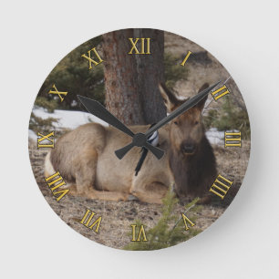 Wapiti (Elk) & Magpie Round Clock