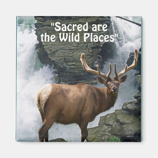 Wapiti & Waterfall Wilderness Gift Magnet (Front)