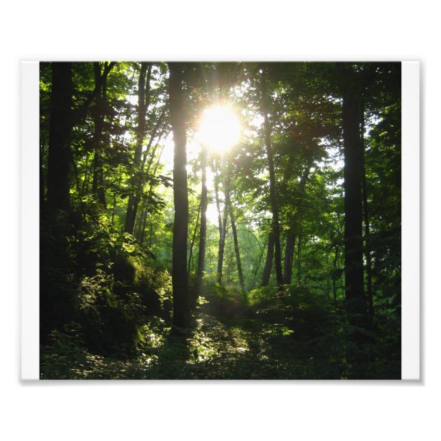 Wapsipinicon Forest Photo Print (Front)