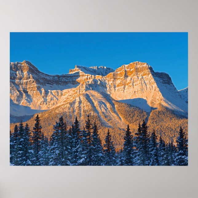 Waputik Range in Canadian Rocky Mountains Poster (Front)