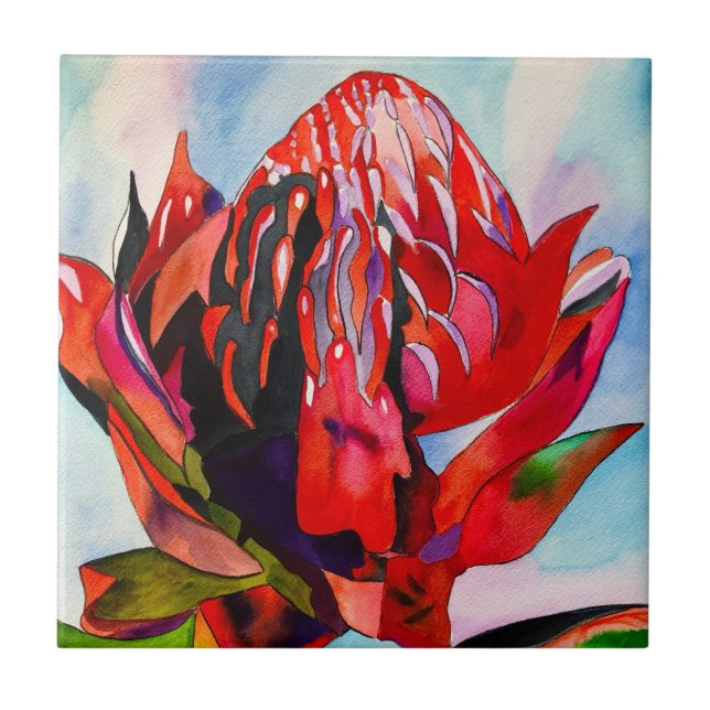 Waratah Australian native flower watercolor Ceramic Tile (Front)