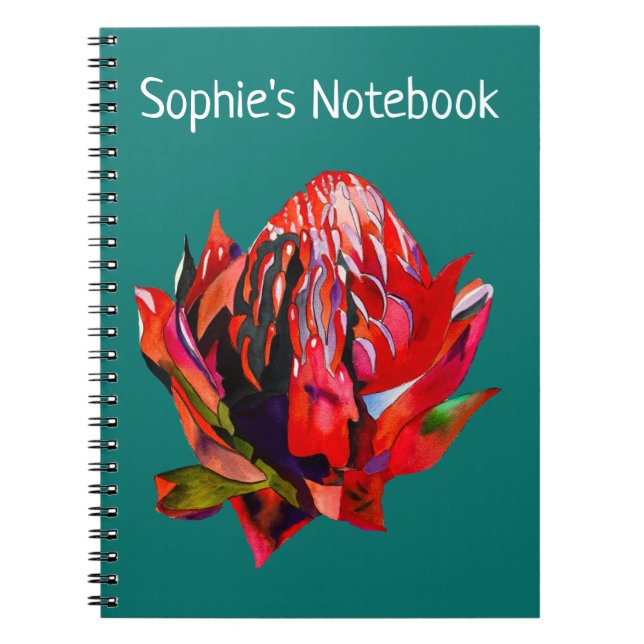 Waratah Australian native flower watercolor Notebook (Front)