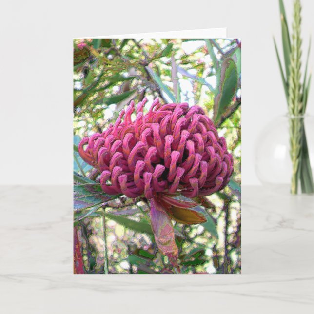 waratah card (Front)