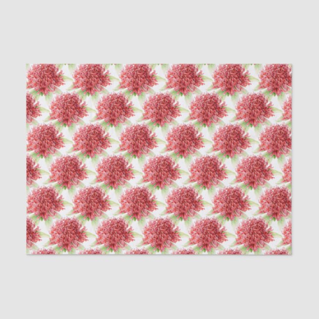 Waratah flower watercolor red botanic tissue paper (Front)