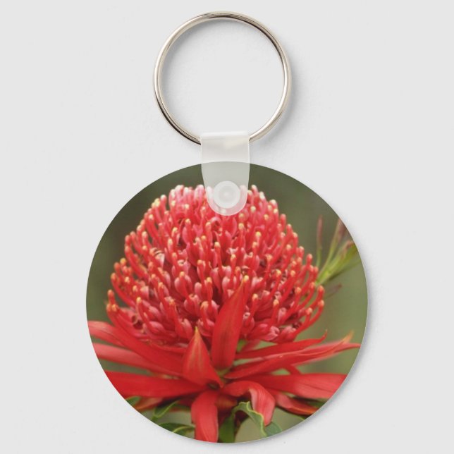 Waratah in bloom, Australia flowers Key Ring (Front)
