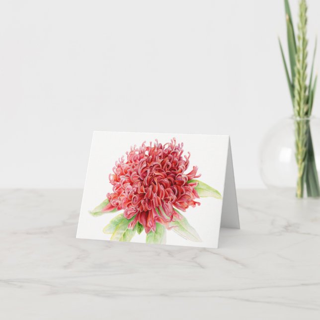 Waratah red floral botanical watercolor art card (Front)