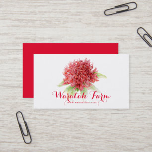 Waratah red flower art farm business card