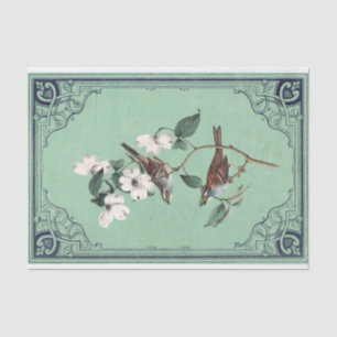 Warbler Bird on White Dogwood Green French Frame  Tissue Paper