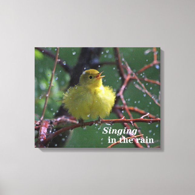 Warbler Canvas Print (Front)