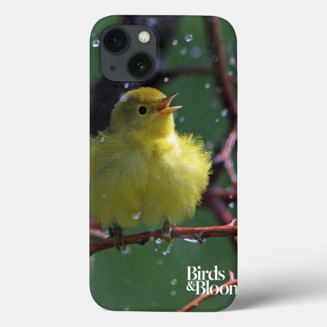 Warbler Case-Mate iPhone Case (Back)
