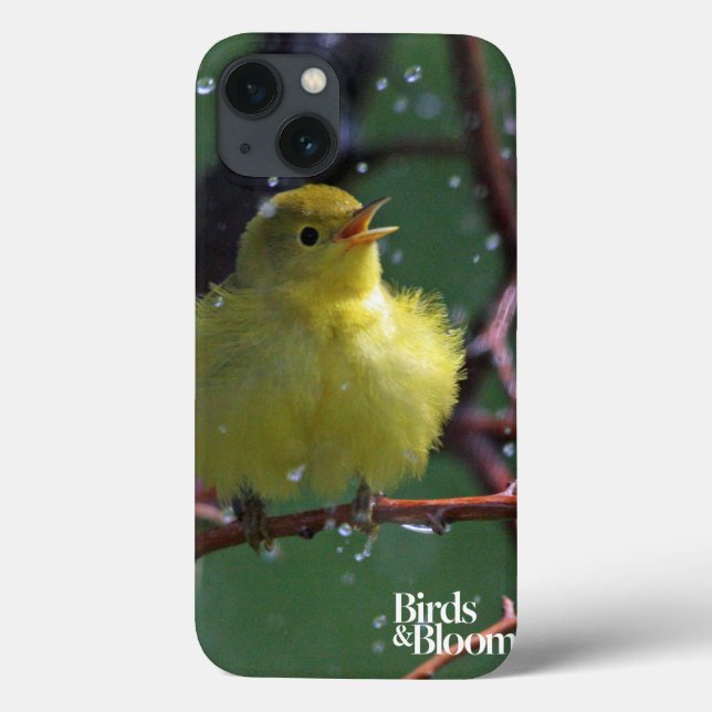 Warbler Case-Mate iPhone Case (Back)