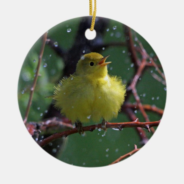 Warbler Ceramic Tree Decoration (Front)