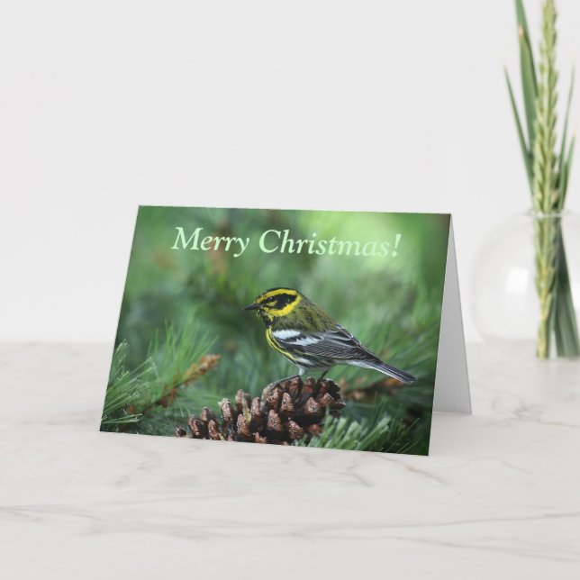 warbler in a winter setting Christmas card (Front)