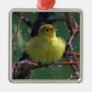 Warbler Metal Ornament