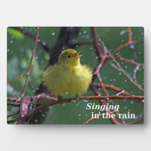 Warbler Plaque